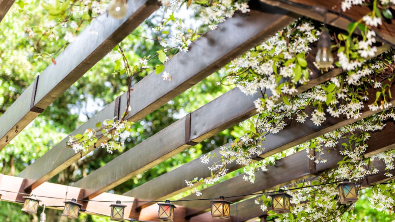 pergola végétalisée palavas-les-flots